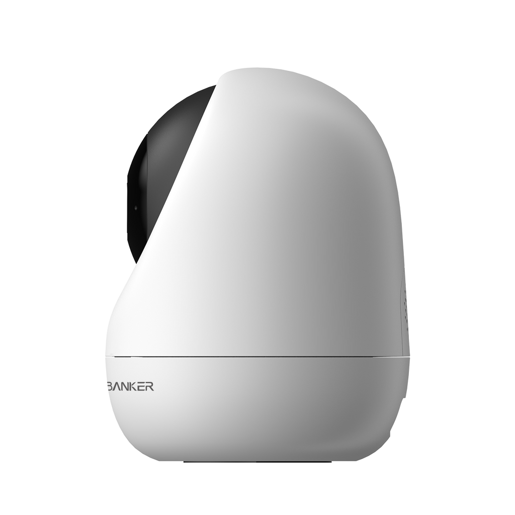 Security Camera - Indoor